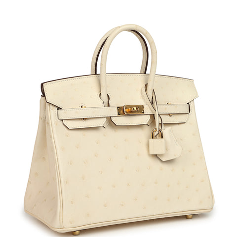 Hermes Birkin 25 Nata Ostrich Boreal Gold Hardware