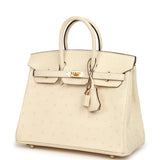 Hermes Birkin 25 Nata Ostrich Boreal Gold Hardware - Thumbnail View 5