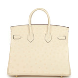 Hermes Birkin 25 Nata Ostrich Boreal Gold Hardware - Thumbnail View 4