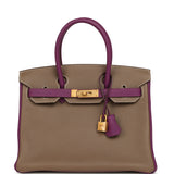 Hermes Special Order (HSS) Birkin 30 Etoupe, Anemone Togo Brushed Gold Hardware - Thumbnail View 1