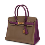 Hermes Special Order (HSS) Birkin 30 Etoupe, Anemone Togo Brushed Gold Hardware - Thumbnail View 5