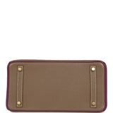 Hermes Special Order (HSS) Birkin 30 Etoupe, Anemone Togo Brushed Gold Hardware - Thumbnail View 6