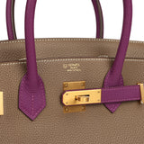 Hermes Special Order (HSS) Birkin 30 Etoupe, Anemone Togo Brushed Gold Hardware - Thumbnail View 7