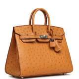 Hermes Birkin Sellier 25 Gold Ostrich Palladium Hardware - Thumbnail View 2