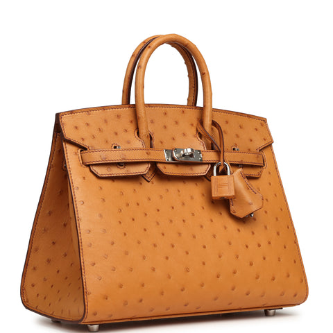 Hermes Birkin Sellier 25 Gold Ostrich Palladium Hardware