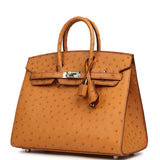 Hermes Birkin Sellier 25 Gold Ostrich Palladium Hardware - Thumbnail View 5