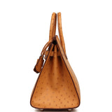 Hermes Birkin Sellier 25 Gold Ostrich Palladium Hardware - Thumbnail View 3