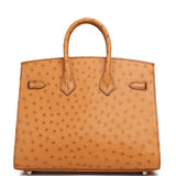 Hermes Birkin Sellier 25 Gold Ostrich Palladium Hardware - Thumbnail View 4
