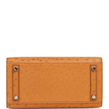 Hermes Birkin Sellier 25 Gold Ostrich Palladium Hardware - Thumbnail View 6