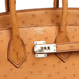 Hermes Birkin Sellier 25 Gold Ostrich Palladium Hardware - Thumbnail View 7