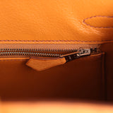 Hermes Birkin Sellier 25 Gold Ostrich Palladium Hardware - Thumbnail View 8