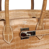 Vintage Hermes Birkin 30 Ficelle Shiny Porosus Crocodile Palladium Hardware - Thumbnail View 7