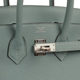 Hermes Birkin 25 Ciel Togo Palladium Hardware - Thumbnail View 7
