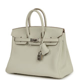 Hermes Birkin 25 Mushroom Togo Palladium Hardware - Thumbnail View 5