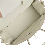 Hermes Birkin 25 Mushroom Togo Palladium Hardware - Thumbnail View 9