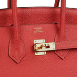 Pre-owned Hermes Birkin 25 Rouge Pivone Togo Gold Hardware - Thumbnail View 7