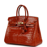 Vintage Hermes Birkin 25 Pain D'Epice Shiny Niloticus Crocodile Gold Hardware - Thumbnail View 5