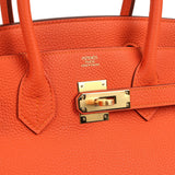 Hermes Birkin 30 Feu Togo Gold Hardware - Thumbnail View 7