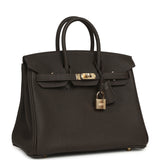 Hermes Birkin 25 Bai-Brun Togo Permabrass Hardware - Thumbnail View 2