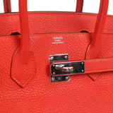Pre-owned Hermes Birkin 30 Capucine Togo Palladium Hardware - Thumbnail View 7