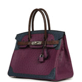 Hermes Birkin Ghillies 30 Violet, Bleu De Malte, Chocolat Ostrich Palladium Hardware - Thumbnail View 5