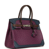 Hermes Birkin Ghillies 30 Violet, Bleu De Malte, Chocolat Ostrich Palladium Hardware - Thumbnail View 2