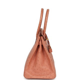 Hermes Birkin 30 Terre Cuite Ostrich Gold Hardware - Thumbnail View 3