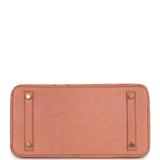 Hermes Birkin 30 Terre Cuite Ostrich Gold Hardware - Thumbnail View 6