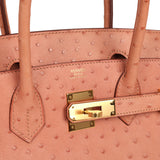 Hermes Birkin 30 Terre Cuite Ostrich Gold Hardware - Thumbnail View 7