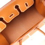Hermes Birkin Sellier 25 Gold Epsom Palladium Hardware - Thumbnail View 8
