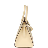 Hermes Birkin Sellier 30 Nata Epsom Palladium Hardware - Thumbnail View 3