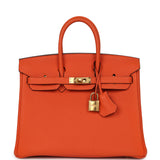 Hermes Birkin 25 Feu Togo Gold Hardware - Thumbnail View 1