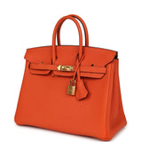 Hermes Birkin 25 Feu Togo Gold Hardware - Thumbnail View 5