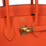 Hermes Birkin 25 Feu Togo Gold Hardware - Thumbnail View 7
