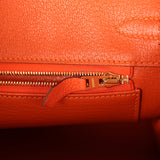 Hermes Birkin 25 Feu Togo Gold Hardware - Thumbnail View 9