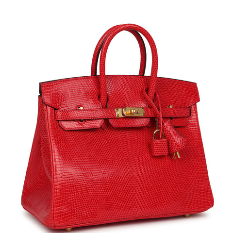 Hermes Birkin 25 Bougainvillea Shiny Varanus Niloticus Lizard Gold Hardware