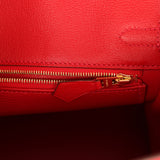 Hermes Birkin 25 Bougainvillea Shiny Varanus Niloticus Lizard Gold Hardware - Thumbnail View 9