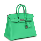 Hermes Birkin 25 Vert Comics Togo Palladium Hardware - Thumbnail View 2