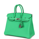 Hermes Birkin 25 Vert Comics Togo Palladium Hardware - Thumbnail View 5
