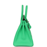 Hermes Birkin 25 Vert Comics Togo Palladium Hardware - Thumbnail View 3