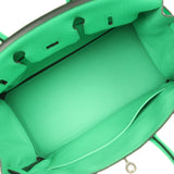 Hermes Birkin 25 Vert Comics Togo Palladium Hardware - Thumbnail View 8