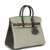 Hermes Special Order (HSS) Birkin 25 Gris Perle, Graphite Ostrich Rose Gold Hardware - Thumbnail View 2