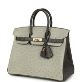 Hermes Special Order (HSS) Birkin 25 Gris Perle, Graphite Ostrich Rose Gold Hardware - Thumbnail View 5