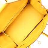 Pre-owned Hermes Birkin 25 Jaune de Naples Novillo Palladium Hardware - Thumbnail View 9