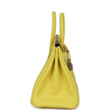 Hermes Birkin 25 Lime Verso Novillo Palladium Hardware - Thumbnail View 3