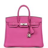 Hermes Birkin 25 Magnolia Clemence Palladium Hardware - Thumbnail View 1