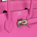 Hermes Birkin 25 Magnolia Clemence Palladium Hardware - Thumbnail View 7