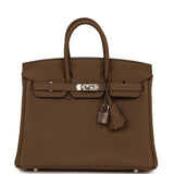 Hermes Birkin 25 Toundra Togo Palladium Hardware - Thumbnail View 1