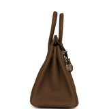 Hermes Birkin 25 Toundra Togo Palladium Hardware - Thumbnail View 3