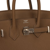 Hermes Birkin 25 Toundra Togo Palladium Hardware - Thumbnail View 7